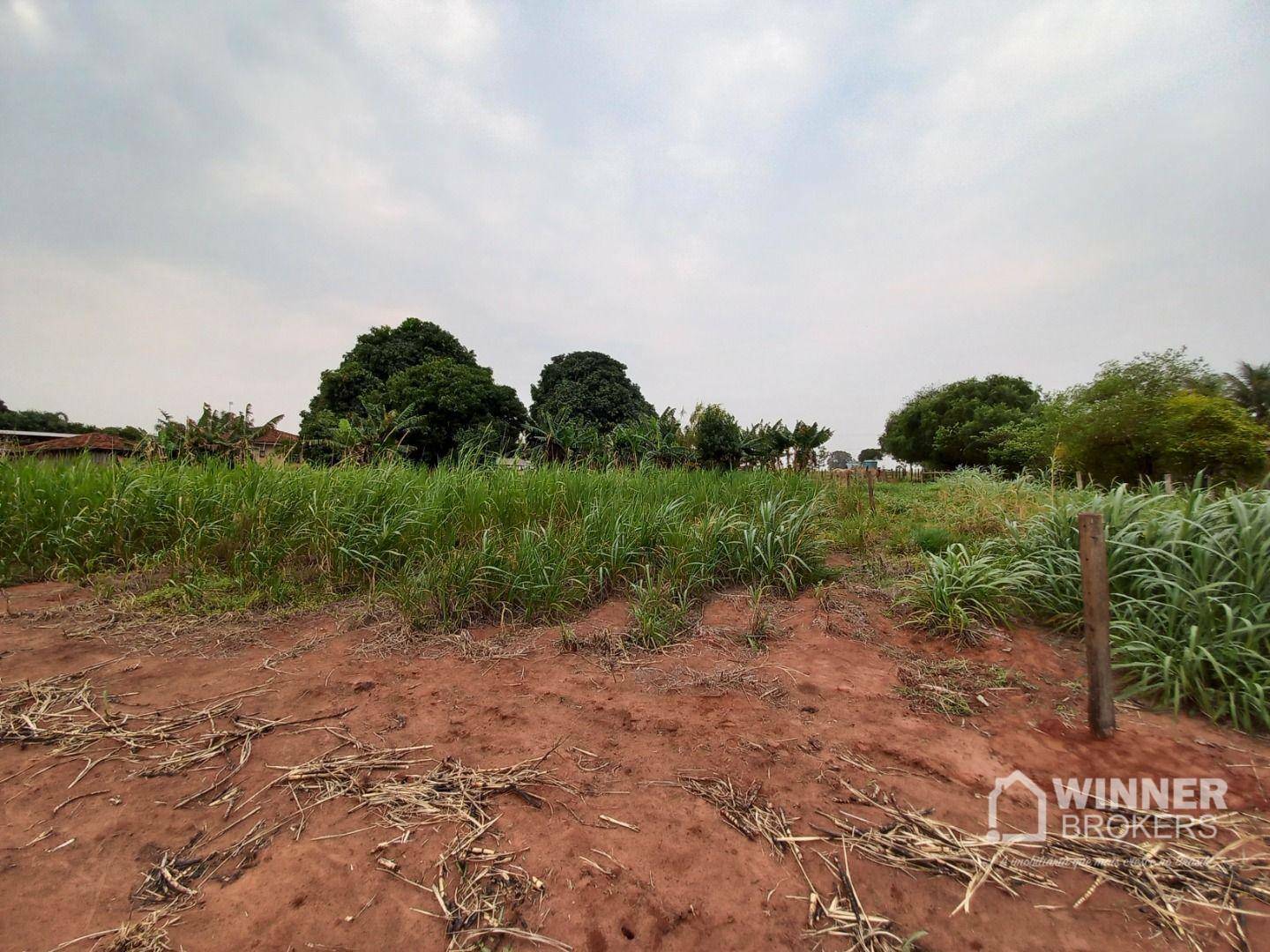 Chácara à venda com 3 quartos, 24200M2 - Foto 16