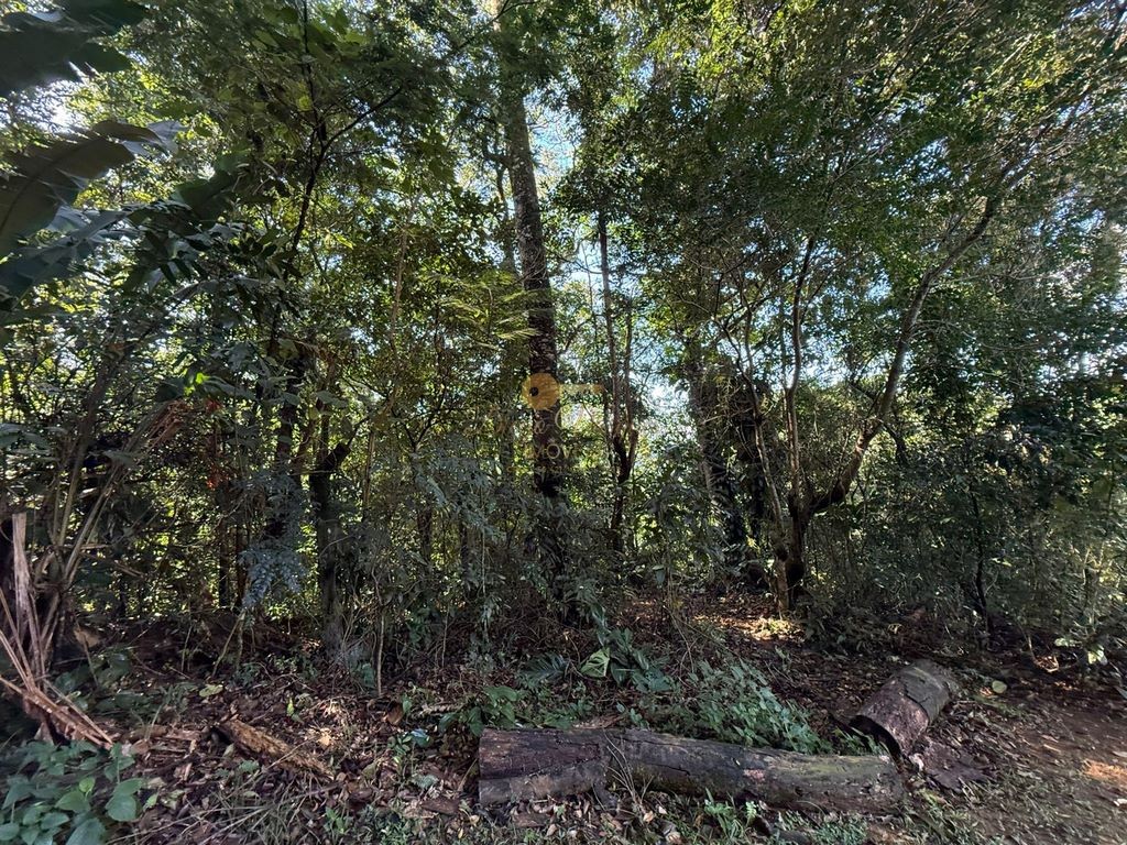 Terreno à venda, 405m² - Foto 2