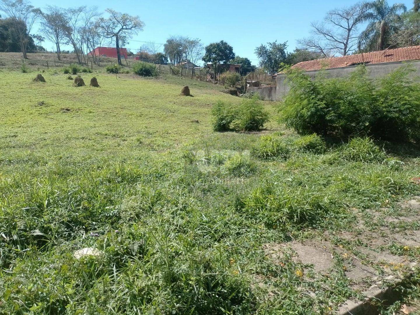 Terreno à venda, 1000M2 - Foto 3