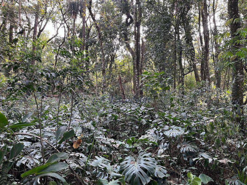 Loteamento e Condomínio à venda, 1100M2 - Foto 6