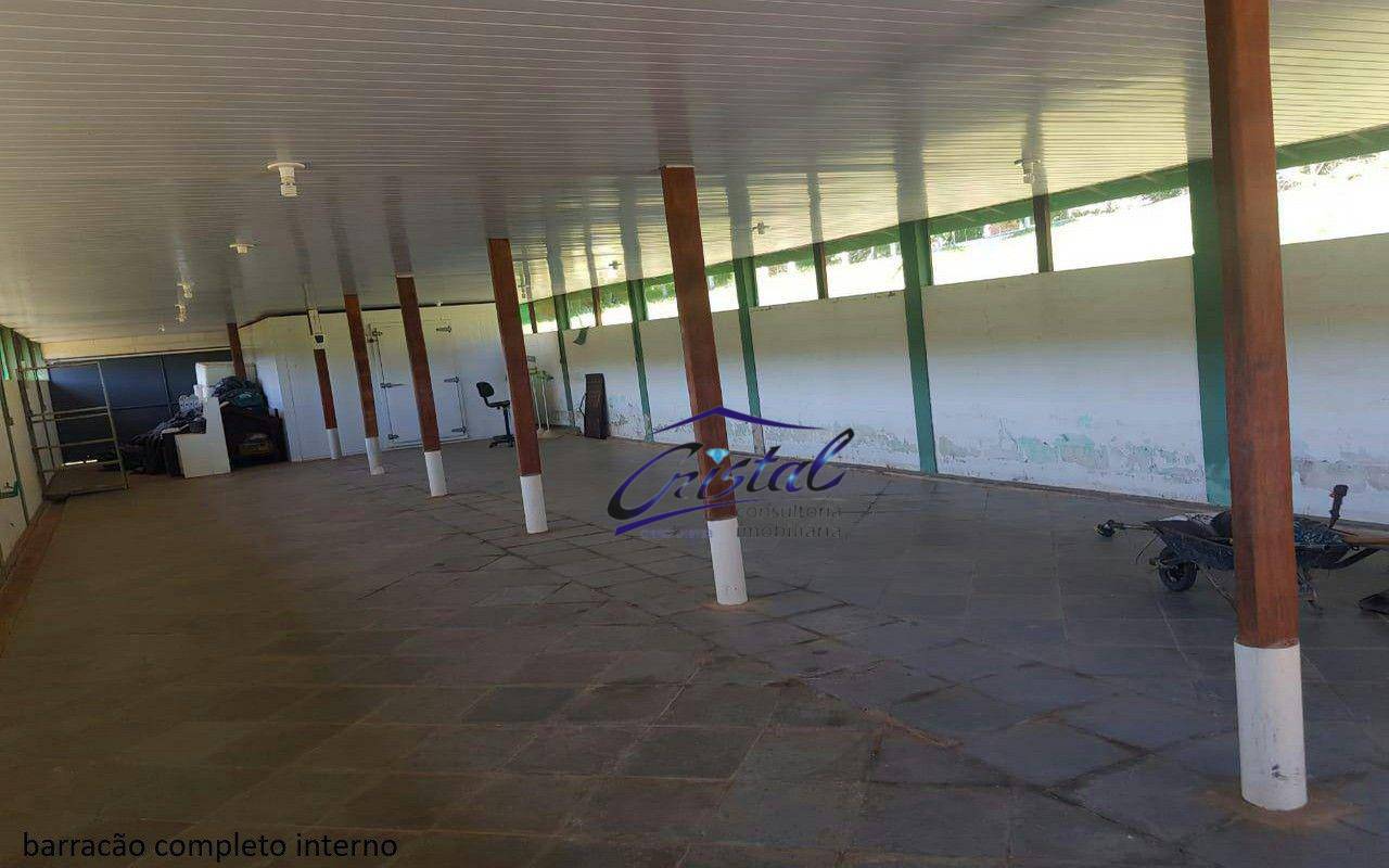 Sítio, 7 quartos, 2 hectares - Foto 4