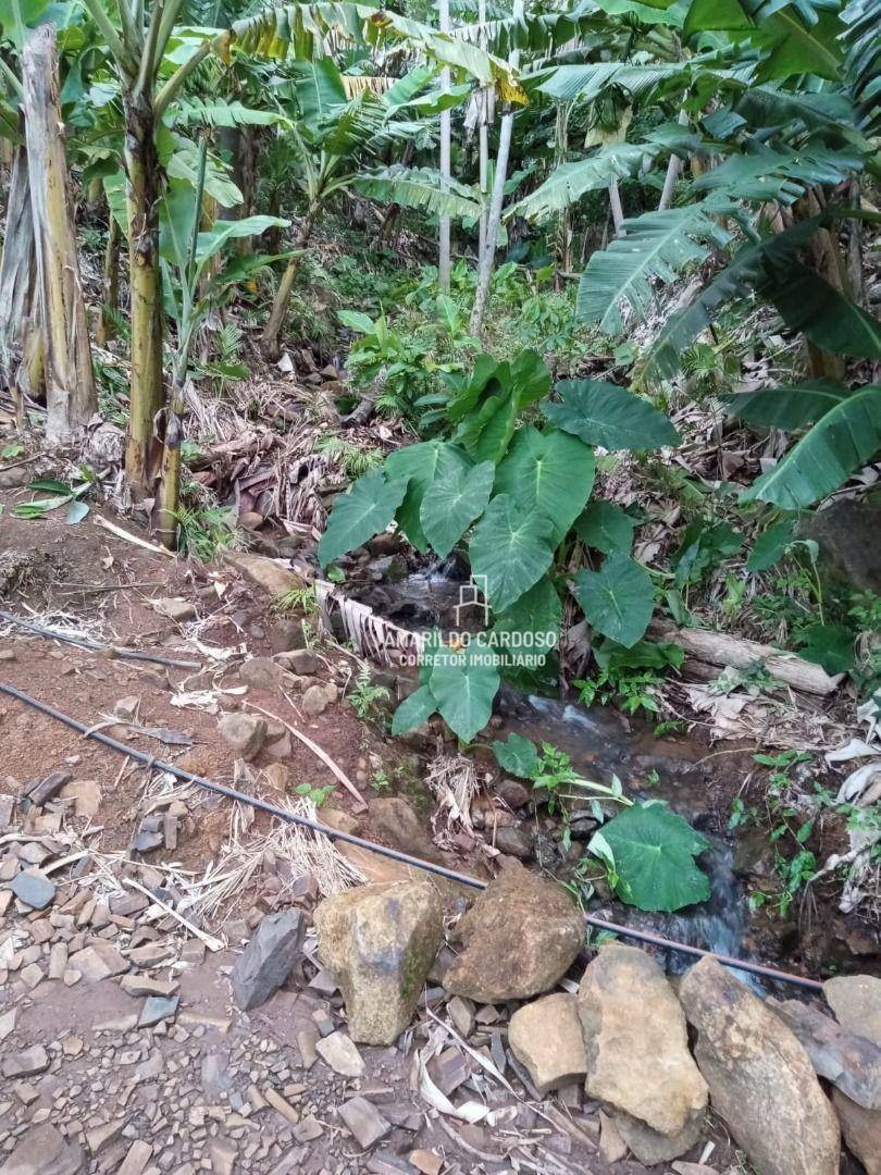 Chácara à venda com 3 quartos, 25000M2 - Foto 25