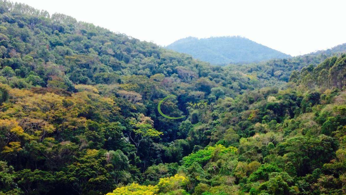 Fazenda à venda com 6 quartos, 1200000M2 - Foto 16