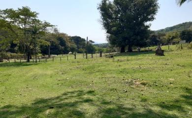 Fazenda à venda com 1 quarto, 240000m² - Foto 8