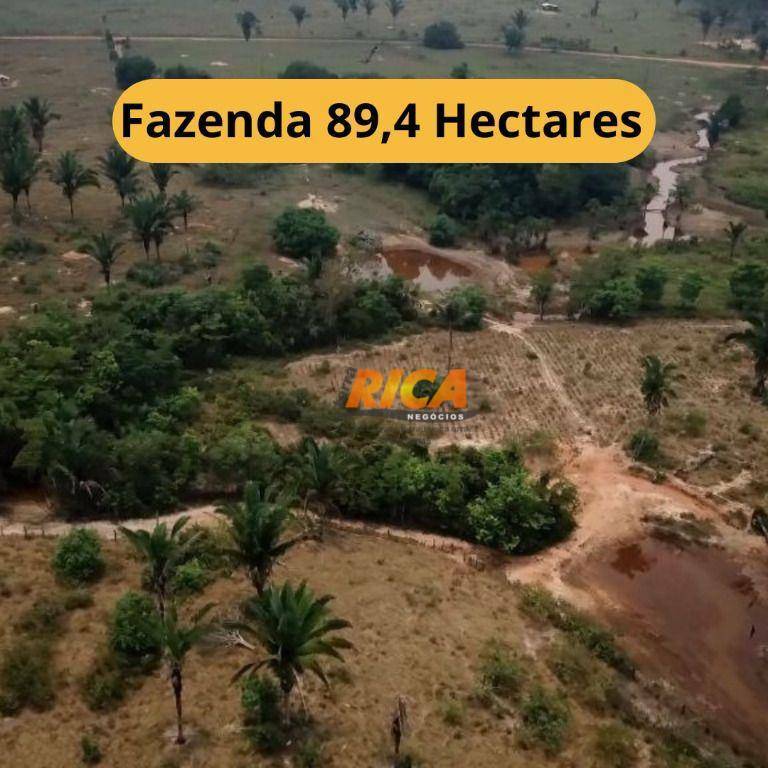 Fazenda-Sítio-Chácara, 89 hectares - Foto 1