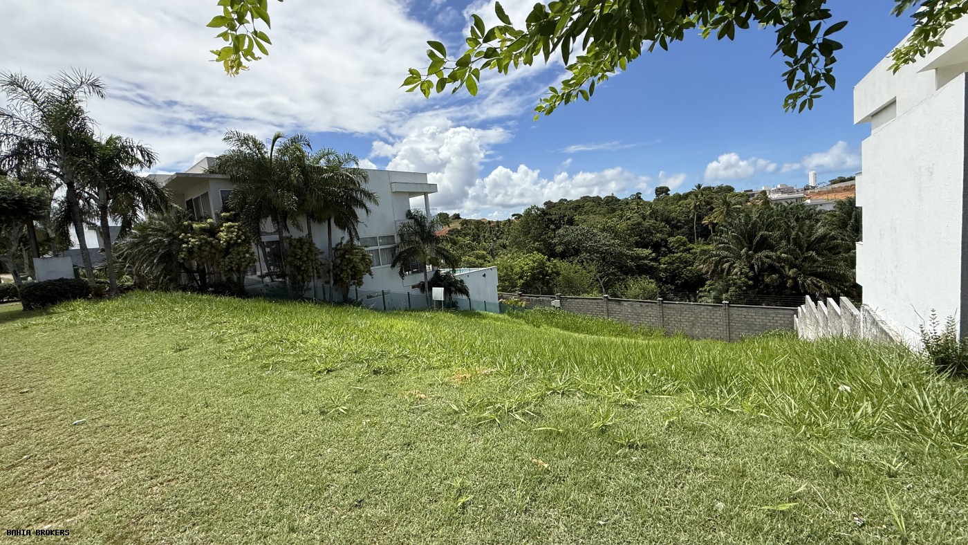 Terreno à venda, 392m² - Foto 2