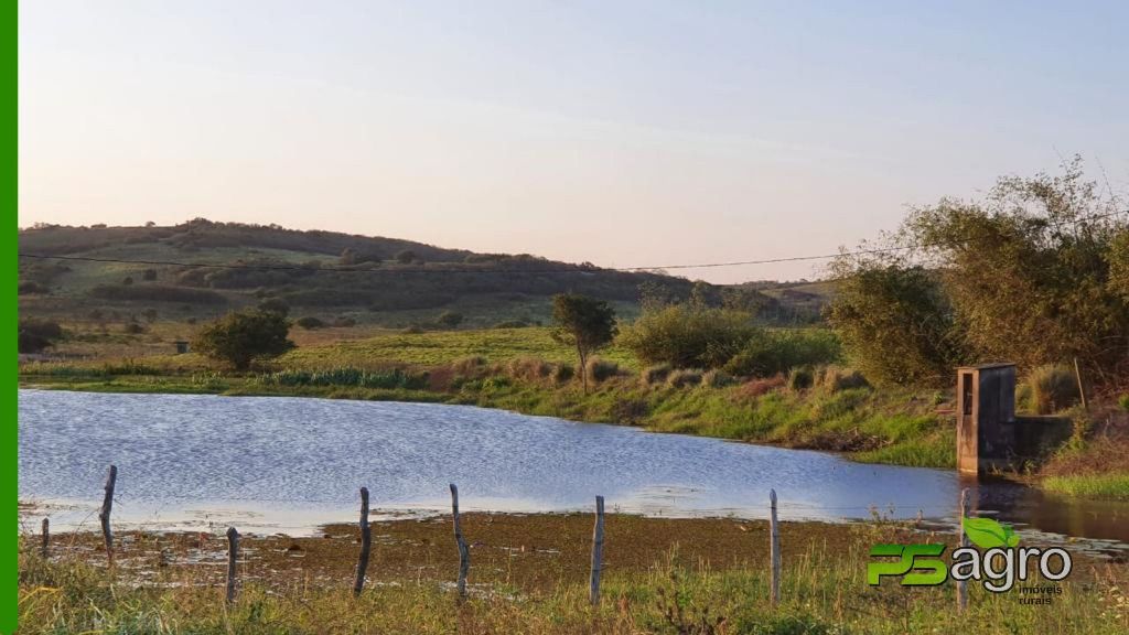 Fazenda-Sítio-Chácara, 820 hectares - Foto 4