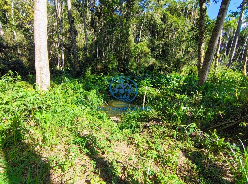 Chácara à venda com 1 quarto, 1000m² - Foto 5