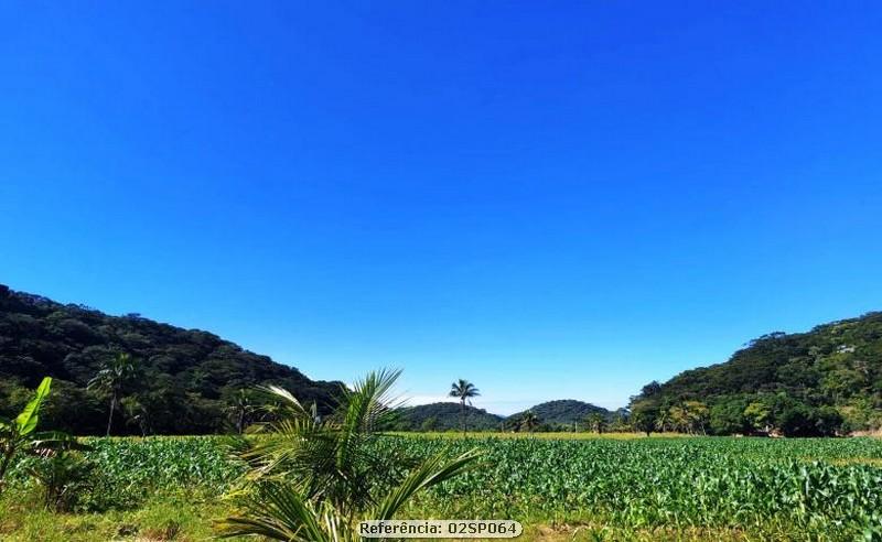 Fazenda à venda com 3 quartos, 160000m² - Foto 17