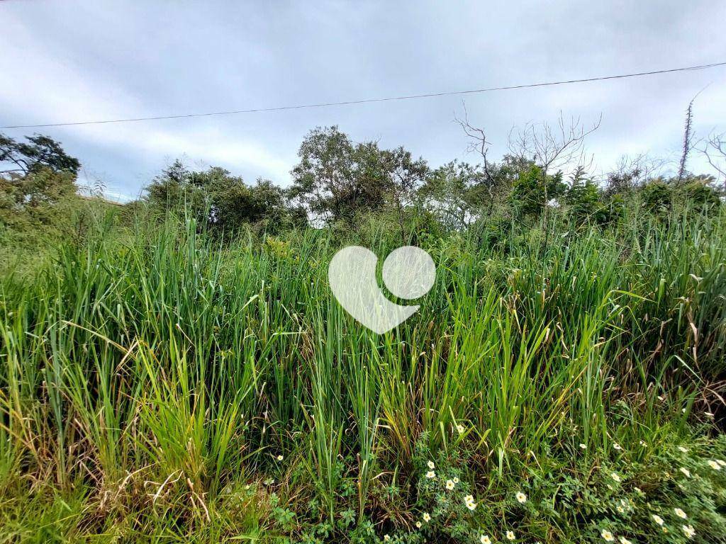 Terreno à venda, 360M2 - Foto 7