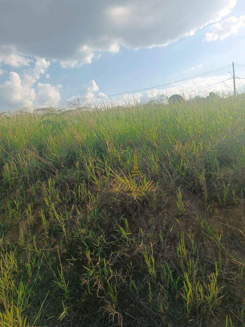 Loteamento e Condomínio à venda, 250M2 - Foto 5