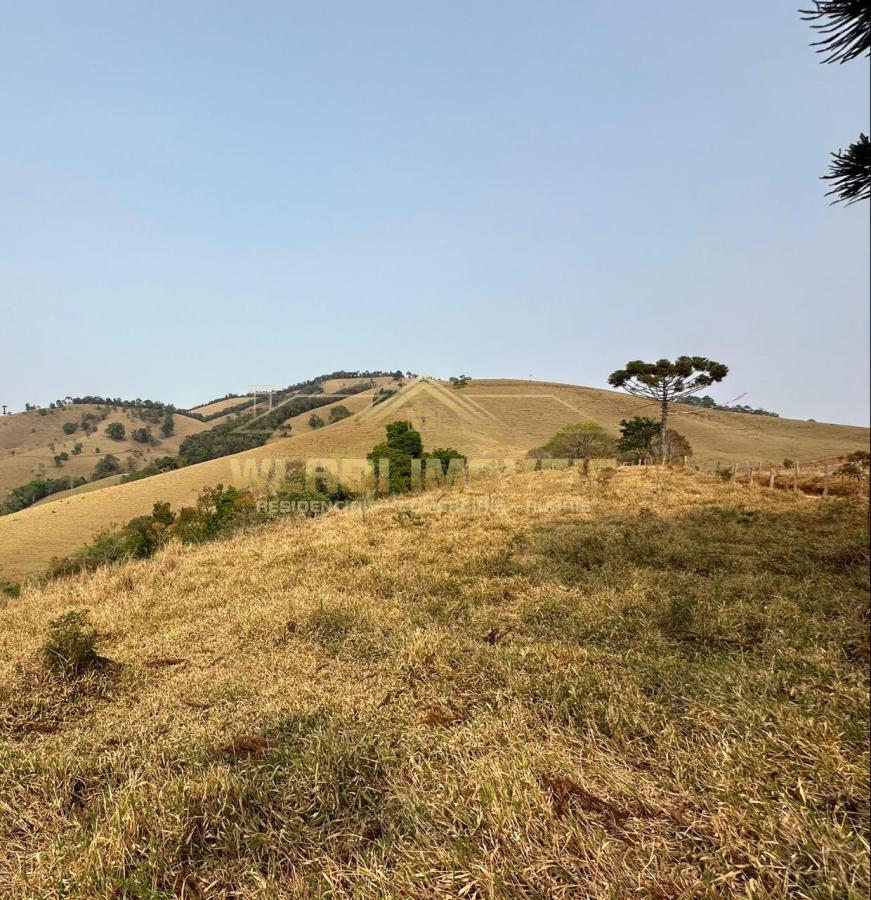 Terreno à venda, 20000m² - Foto 1