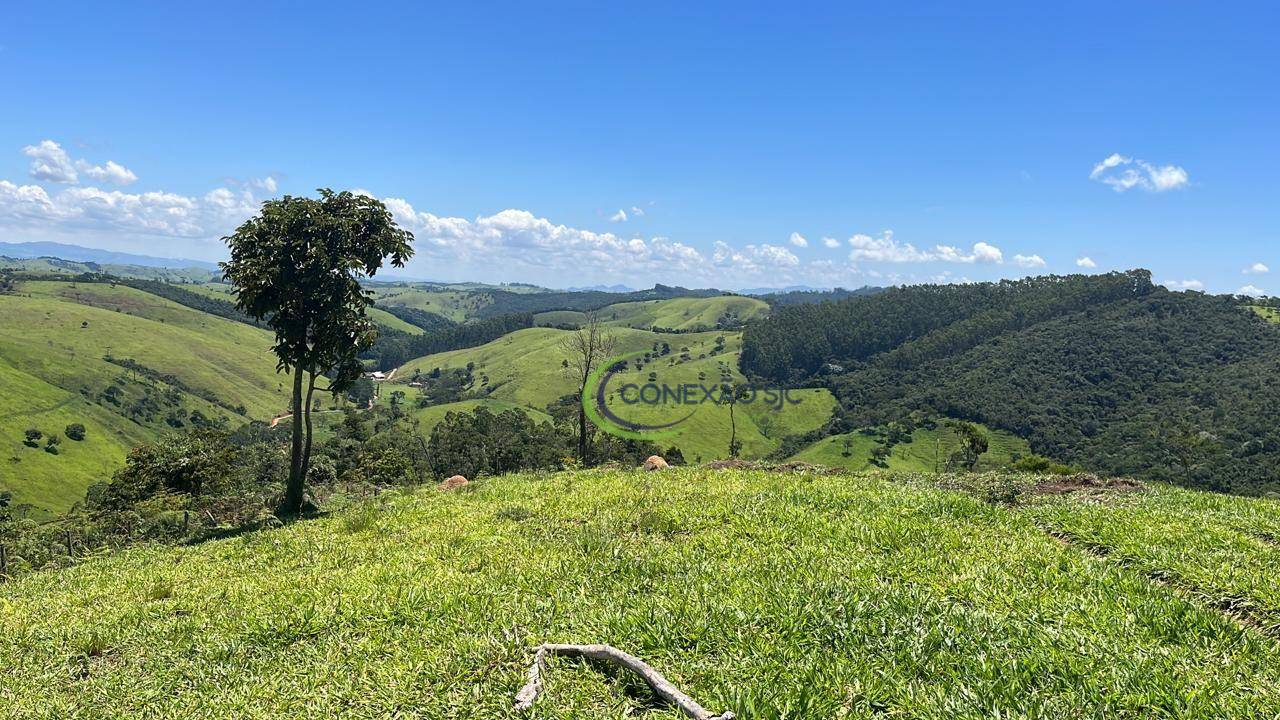 Fazenda à venda, 3388000M2 - Foto 9