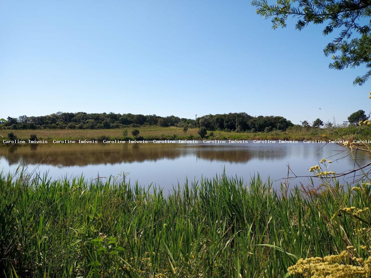 Fazenda à venda com 3 quartos, 60000m² - Foto 1