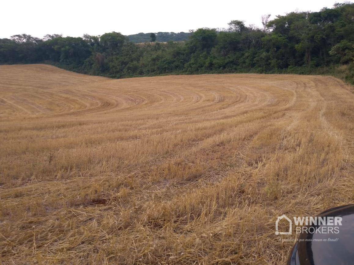 Fazenda à venda, 1379400M2 - Foto 27