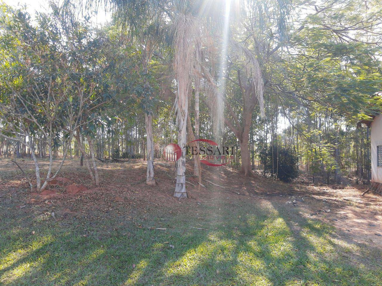 Sítio à venda com 3 quartos, 180m² - Foto 23