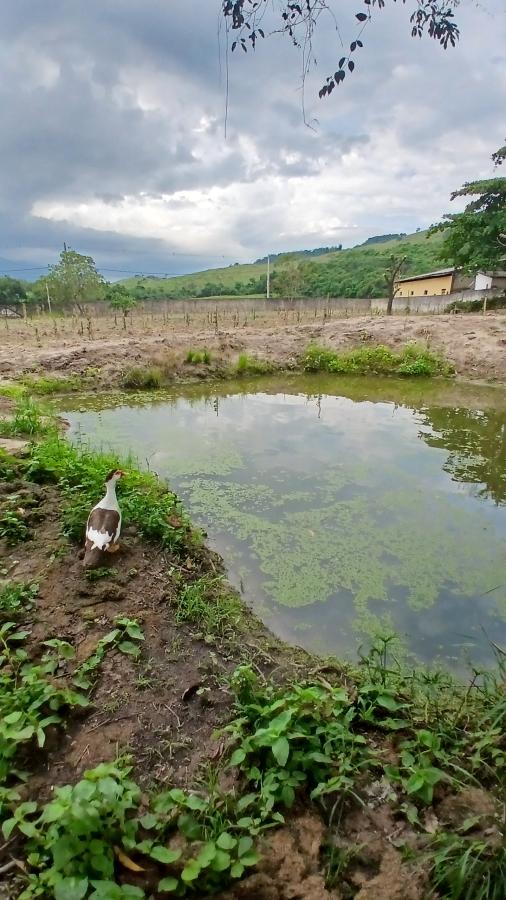 Fazenda à venda com 2 quartos, 31000m² - Foto 3