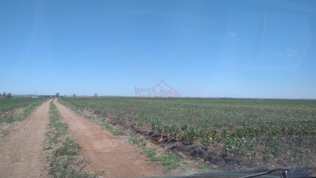 Fazenda-Sítio-Chácara - Foto 5