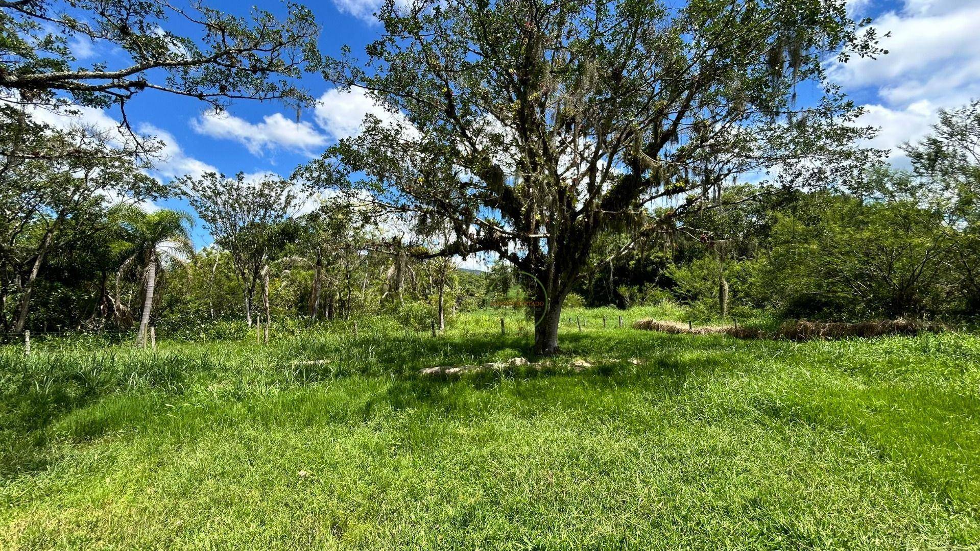 Chácara, 2 hectares - Foto 25