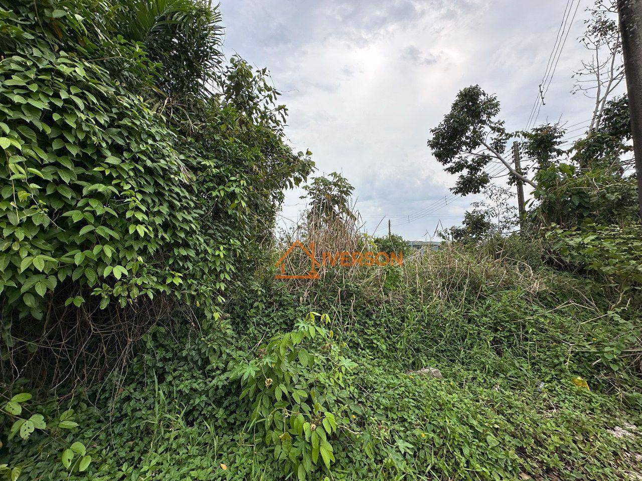 Terreno, 314 m² - Foto 3