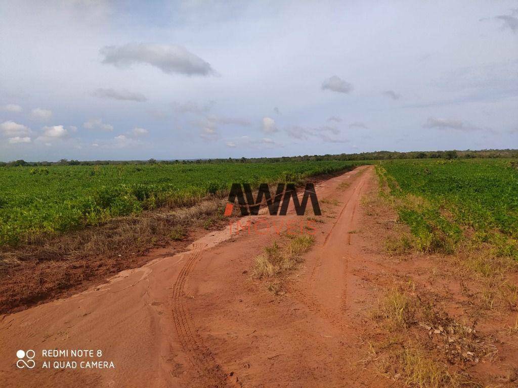 Fazenda à venda, 28920452M2 - Foto 8