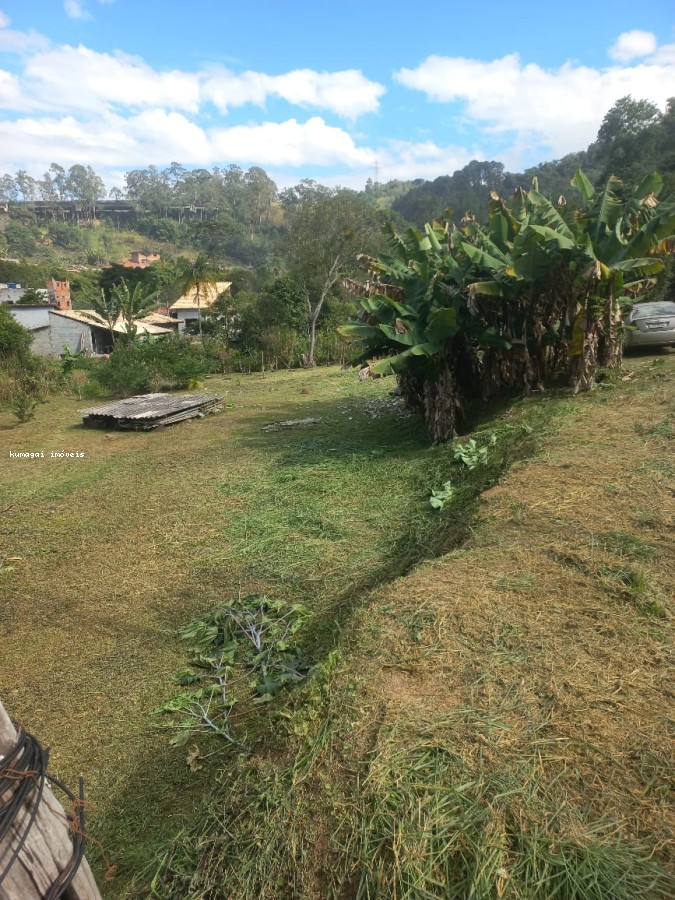 Terreno, 2642 m² - Foto 3