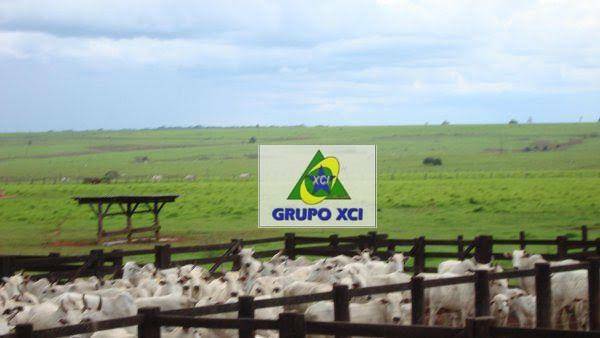 Fazenda à venda, 800000000M2 - Foto 7