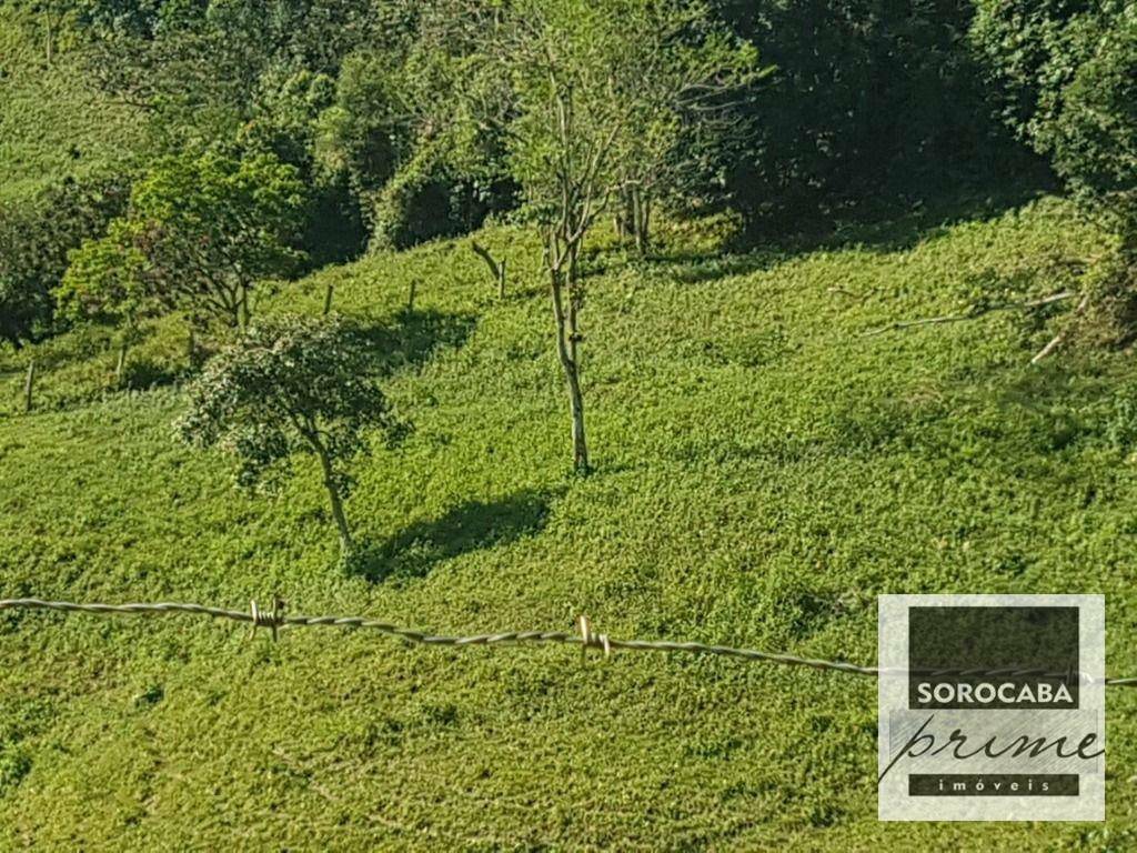 Fazenda à venda, 202000M2 - Foto 11