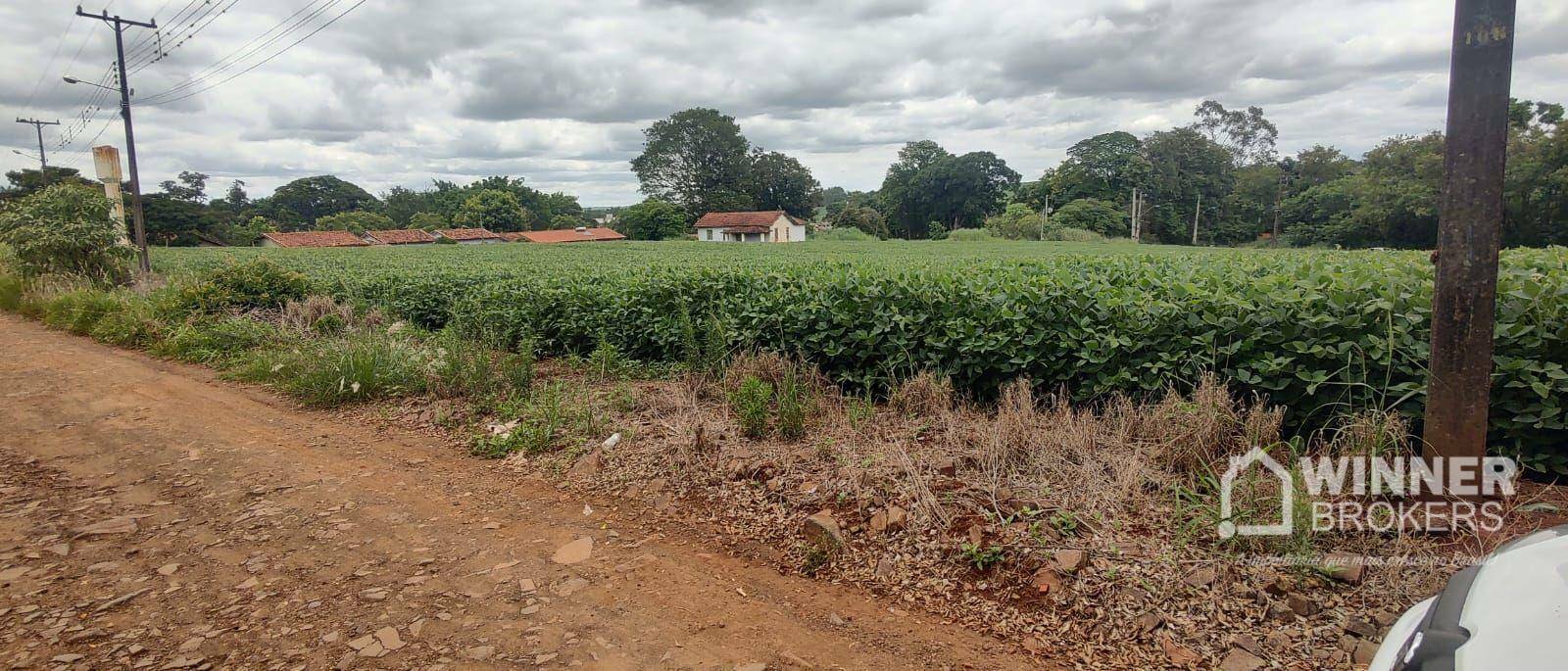 Terreno à venda, 66000M2 - Foto 3