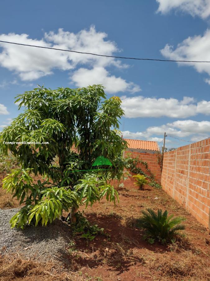 Fazenda à venda com 3 quartos, 1200m² - Foto 11