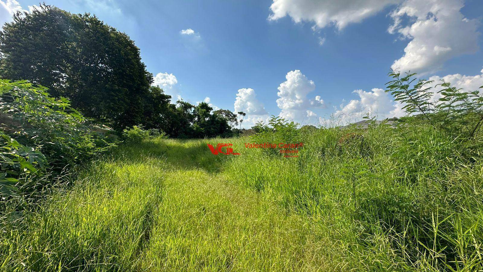 Loteamento e Condomínio à venda, 3950M2 - Foto 3