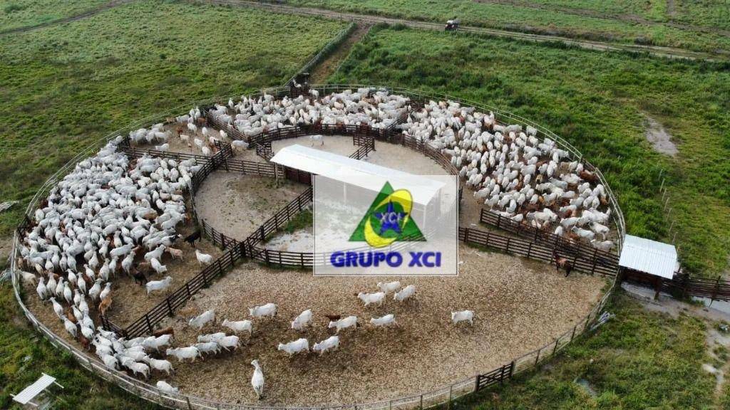 Fazenda à venda, 5200000M2 - Foto 2