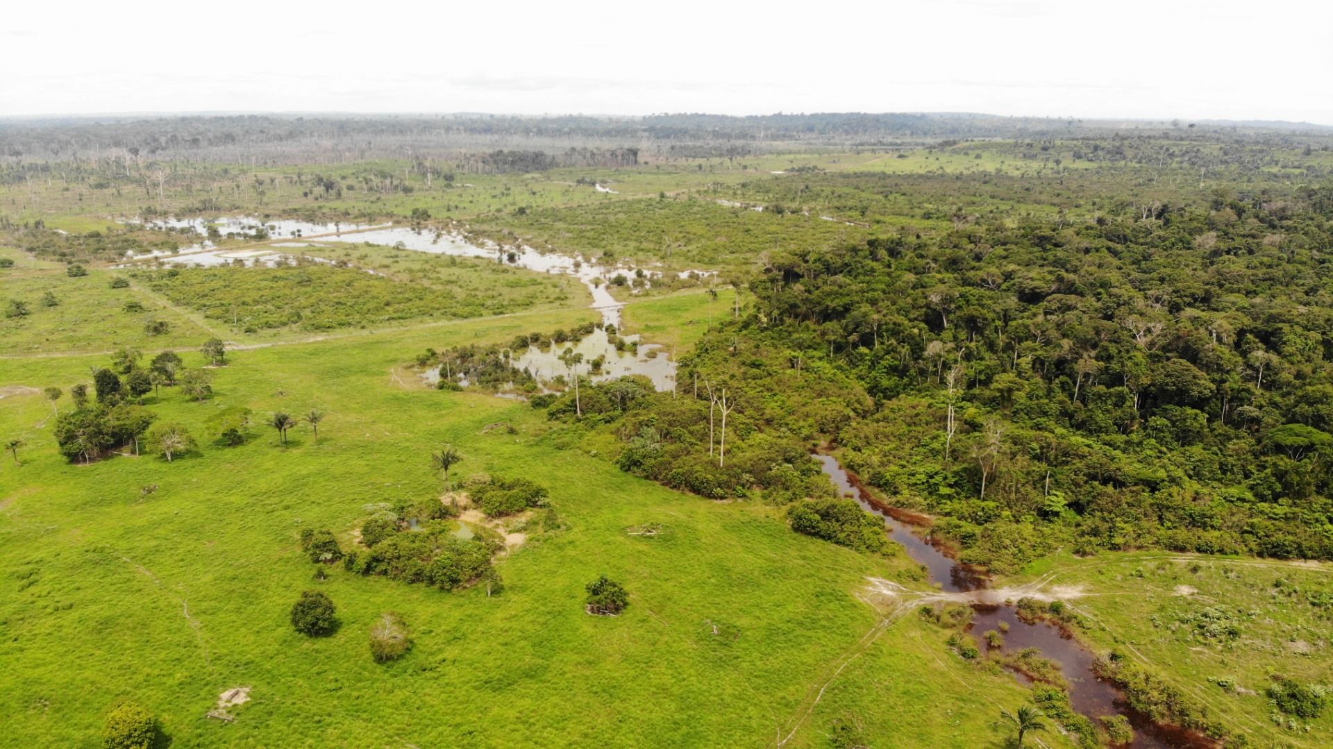 Fazenda à venda, 13648800M2 - Foto 10