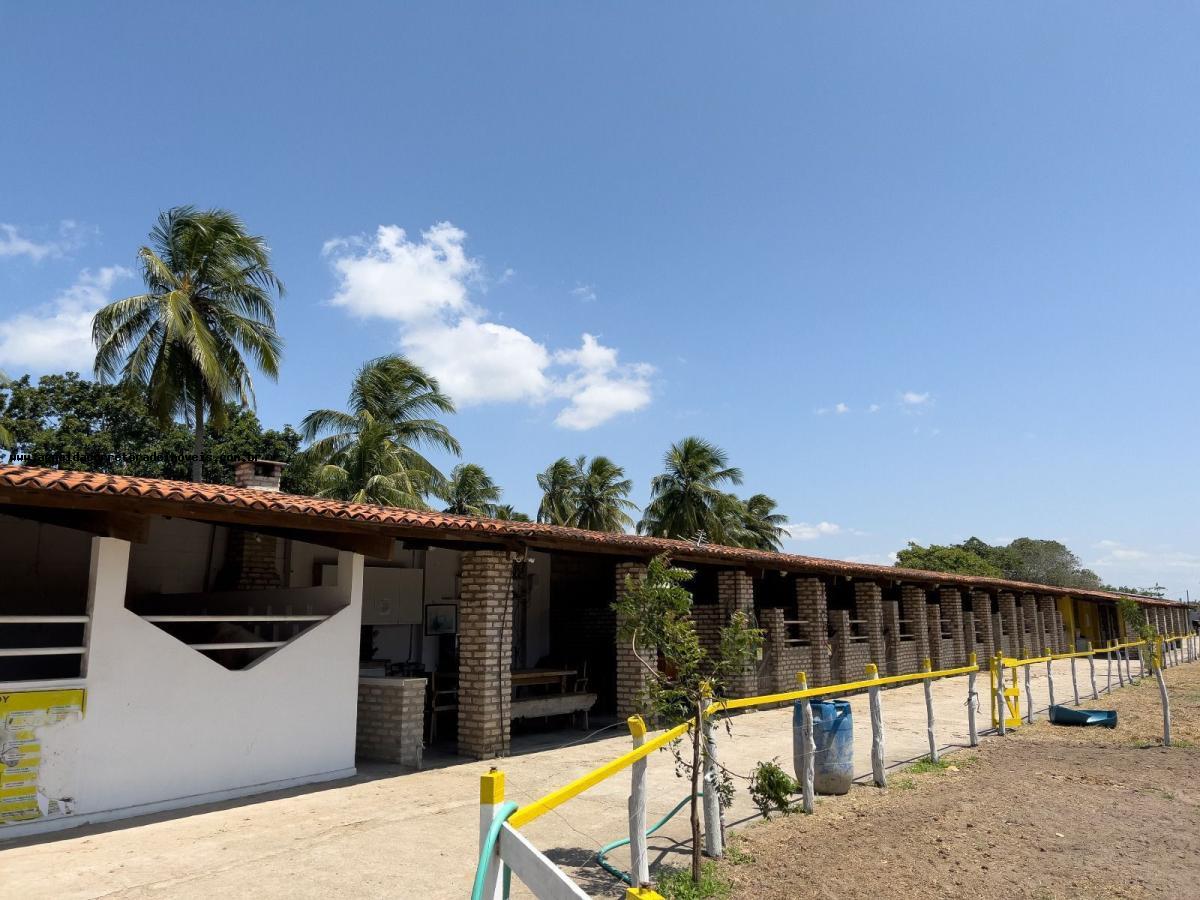 Fazenda à venda com 2 quartos, 6300m² - Foto 1