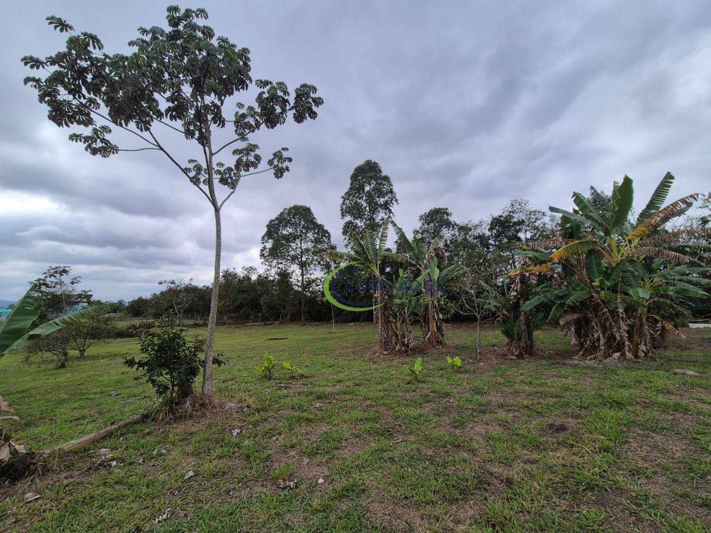 Sítio à venda com 3 quartos, 20000M2 - Foto 6