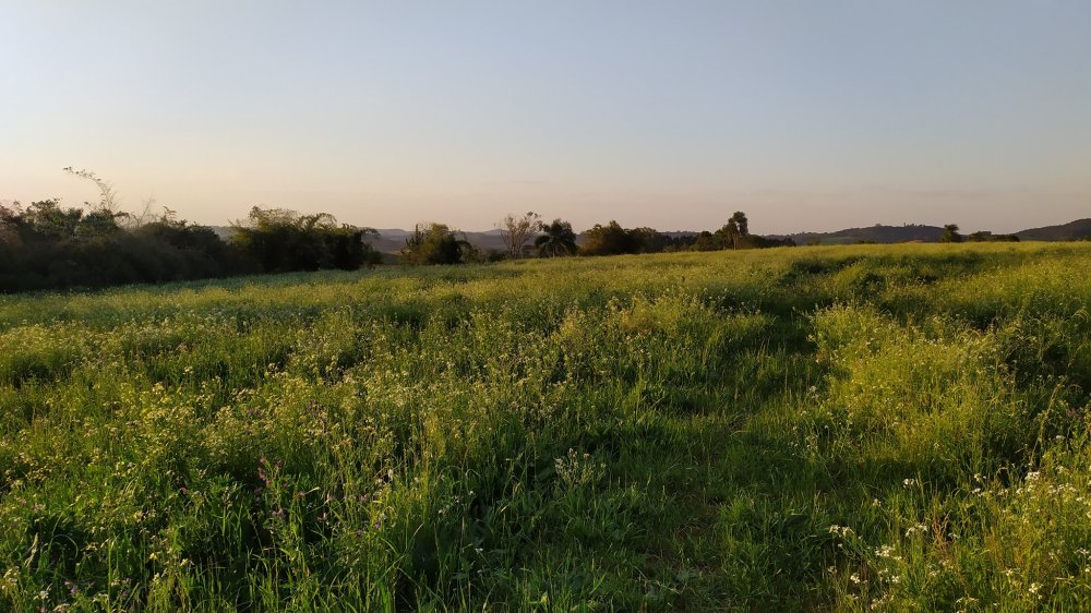 Fazenda à venda, 60m² - Foto 8