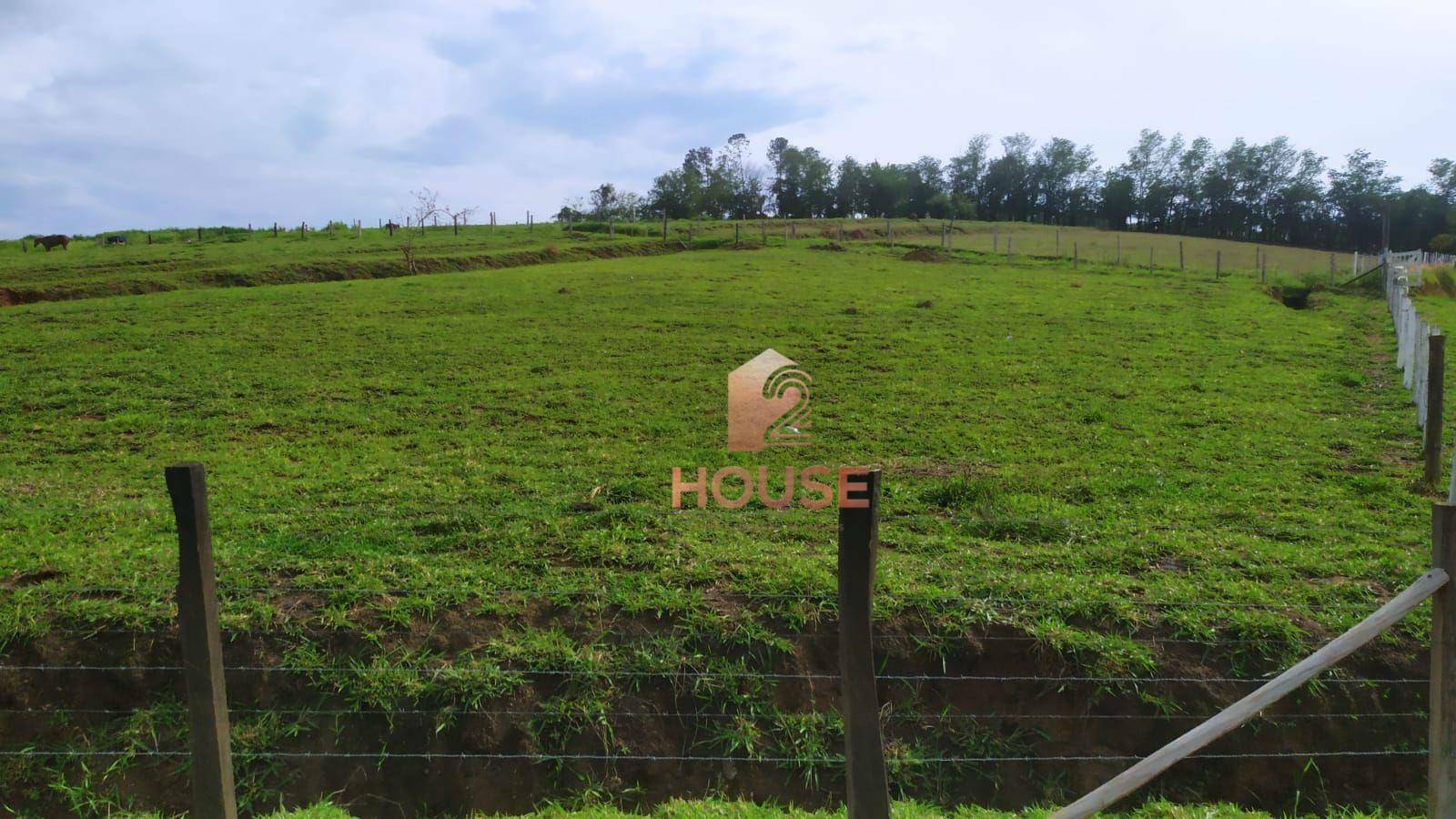 Fazenda à venda com 2 quartos, 133000M2 - Foto 19