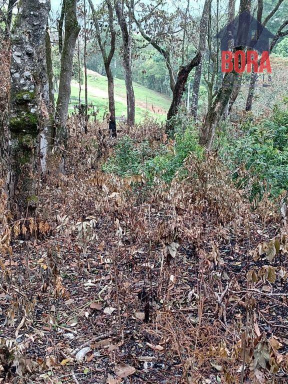 Terreno à venda, 600M2 - Foto 2