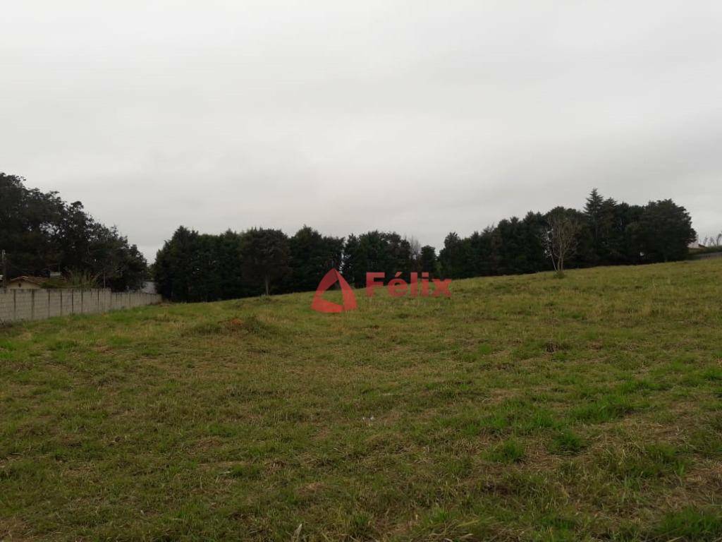 Loteamento e Condomínio à venda, 5000M2 - Foto 10