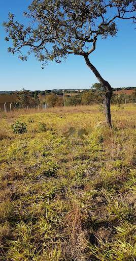 Terreno à venda, 2250M2 - Foto 4