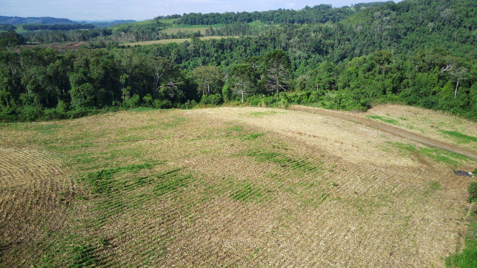 Loteamento e Condomínio à venda, 199000m² - Foto 22