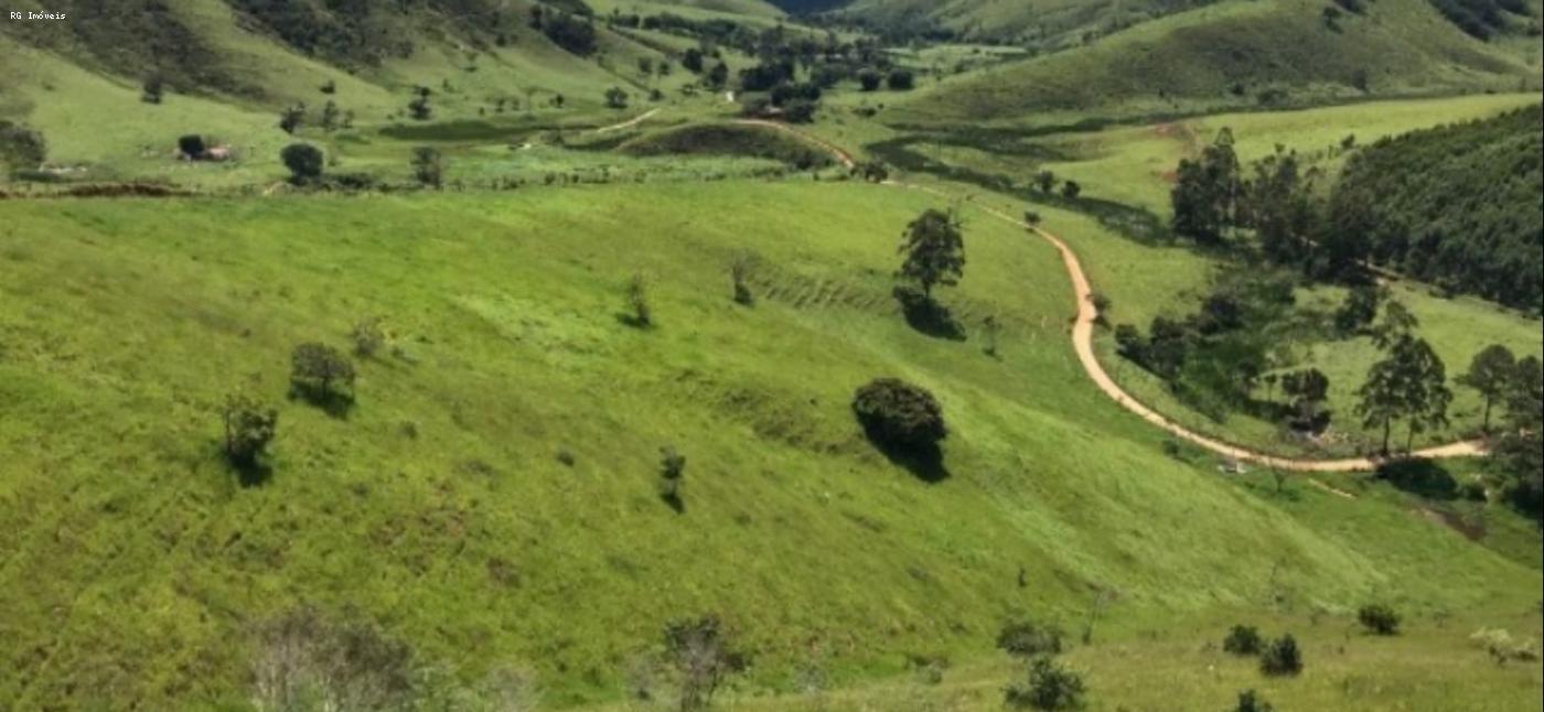 Fazenda à venda com 4 quartos, 2980000m² - Foto 1