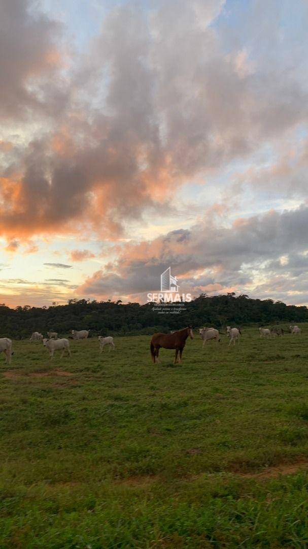 Fazenda-Sítio-Chácara, 436 hectares - Foto 3