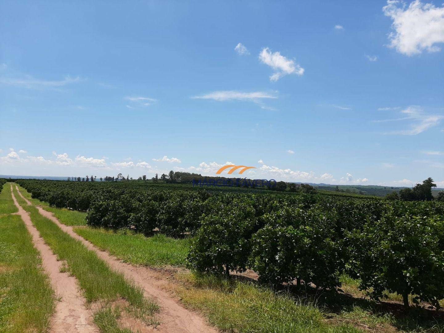 Fazenda à venda, 1694000M2 - Foto 3