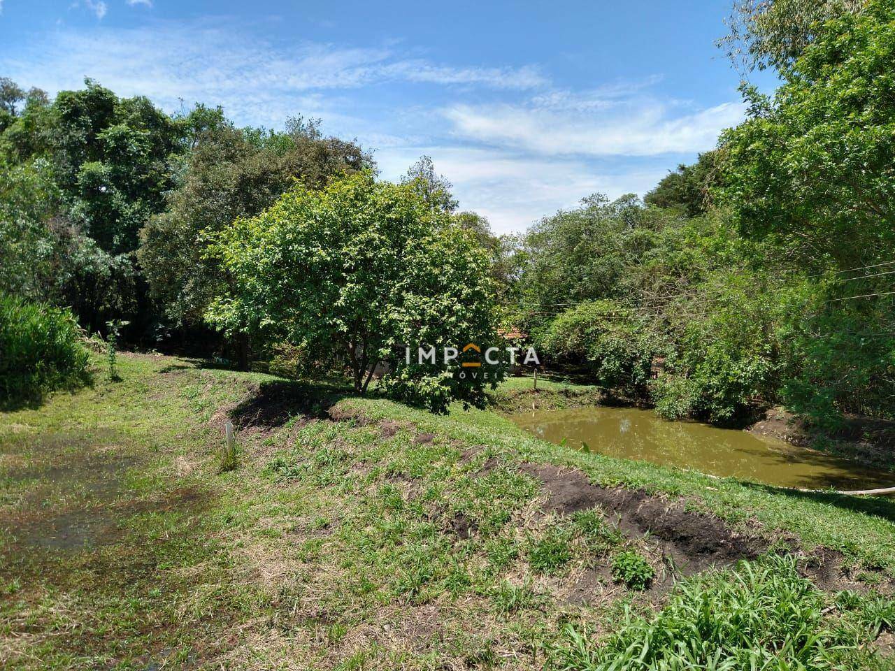 Sítio à venda com 3 quartos, 58000M2 - Foto 152