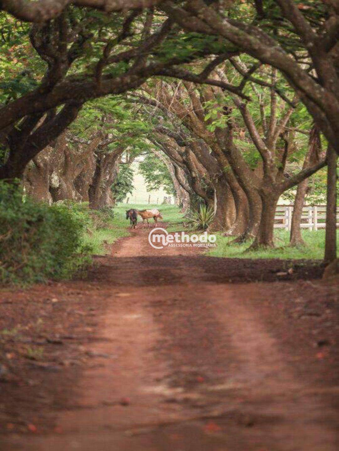 Loteamento e Condomínio à venda, 903M2 - Foto 20