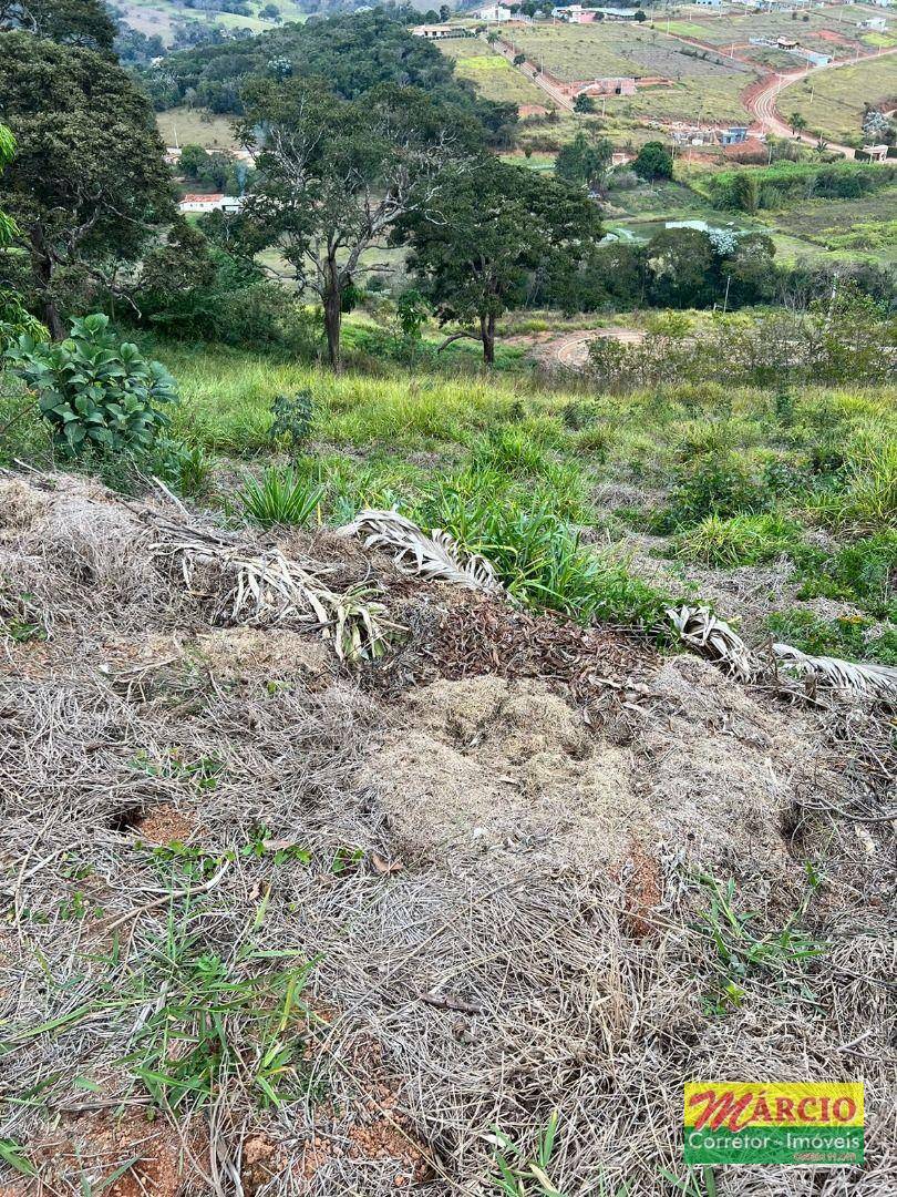 Loteamento e Condomínio à venda, 1250M2 - Foto 7