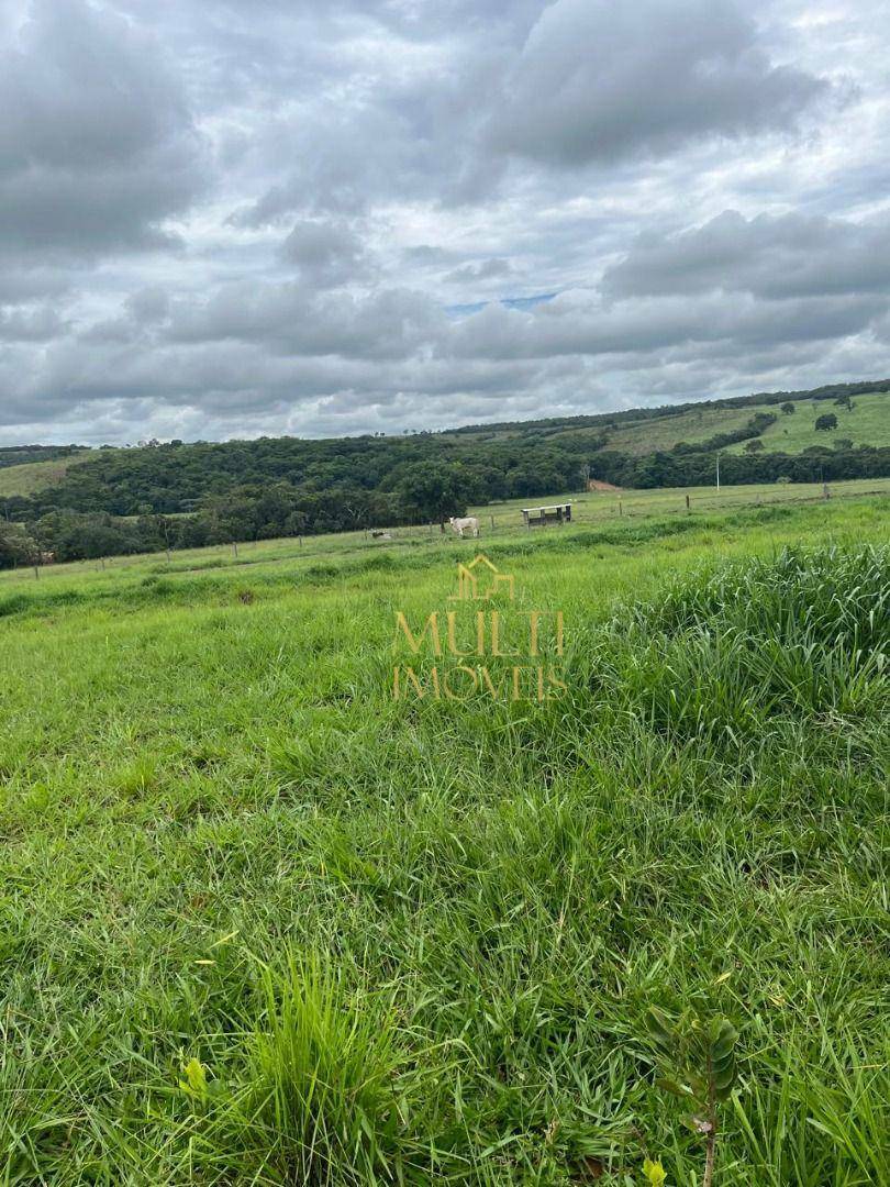 Fazenda à venda com 3 quartos, 10360000M2 - Foto 11