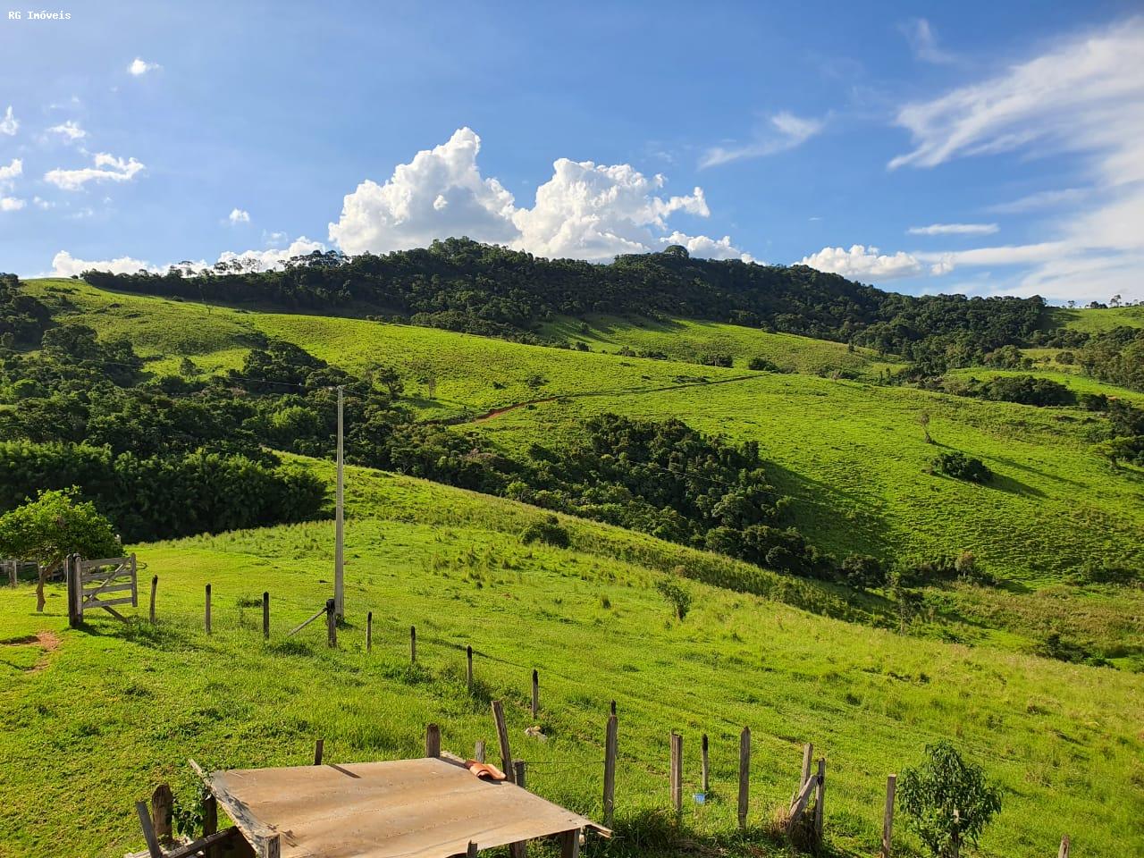 Fazenda à venda com 2 quartos, 220m² - Foto 21