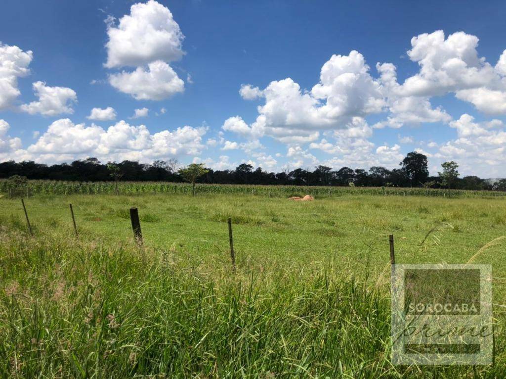 Fazenda à venda, 578622M2 - Foto 3